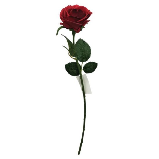 Picture of 49cm SINGLE ROSE RED