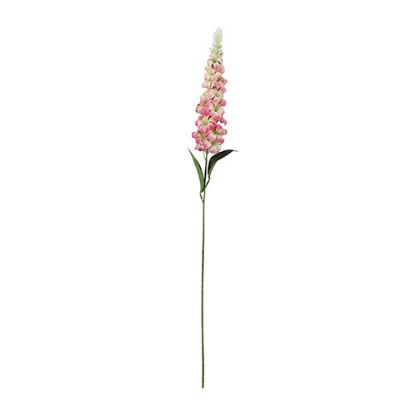 Picture of 72cm DELPHINIUM SPRAY PINK/IVORY