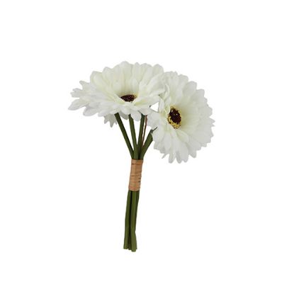 Picture of 23cm GERBERA BUNDLE (6 STEMS) IVORY