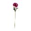 Picture of 48cm SINGLE ANEMONE FUCHSIA