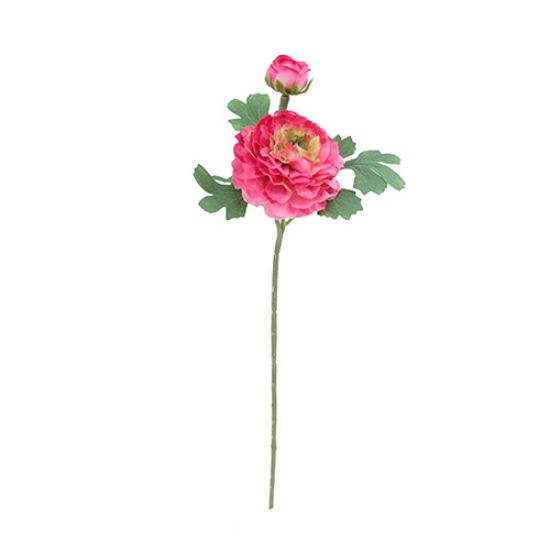 Picture of 45cm RANUNCULUS SPRAY FUCHSIA