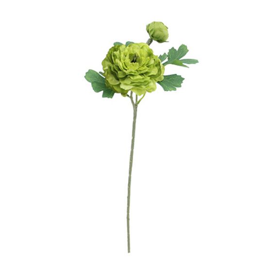 Picture of 45cm RANUNCULUS SPRAY GREEN