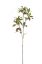 Picture of 78cm UV RESISTANT HELEBORUS LEAF SPRAY GREEN/BROWN