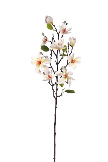 Picture of 80cm UV RESISTANT MAGNOLIA BRANCH IVORY/CREAM