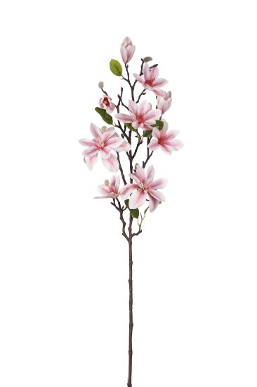 Picture of 80cm UV RESISTANT MAGNOLIA BRANCH LIGHT PINK