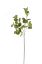 Picture of 79cm UV RESISTANT LARGE EUCALYPTUS SPRAY GREEN