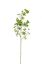 Picture of 110cm UV RESISTANT LARGE LEAF SPRAY GREEN