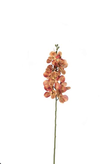 Picture of 60cm UV RESISTANT ORCHID SPRAY BROWN/ORANGE