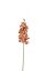 Picture of 60cm ORCHID SPRAY BROWN/ORANGE