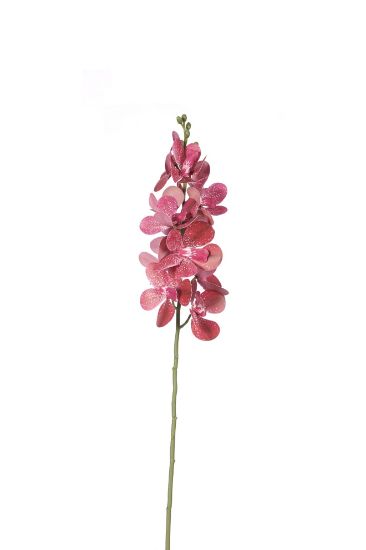 Picture of 60cm UV RESISTANT ORCHID SPRAY WINE