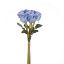 Picture of ROSE BUNDLE (8 HEADS) BLUE