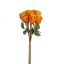 Picture of ROSE BUNDLE (8 HEADS) ORANGE