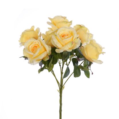 Picture of 40cm OPEN ROSE BUSH (7 HEADS) YELLOW
