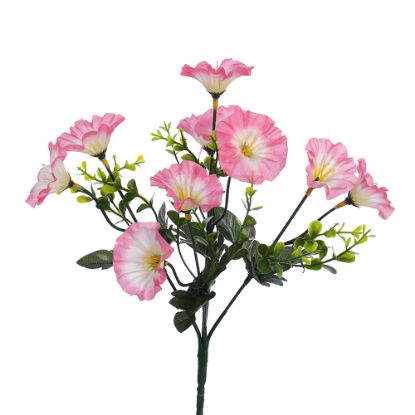 Picture of 30cm MORNING GLORY BUSH PINK/IVORY
