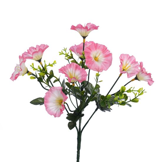 Picture of 30cm MORNING GLORY BUSH PINK/IVORY