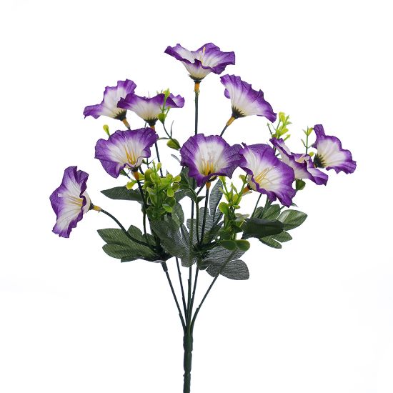 Picture of 30cm MORNING GLORY BUSH PURPLE/IVORY