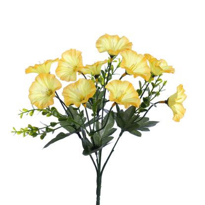 Picture of 30cm MORNING GLORY BUSH YELLOW