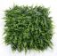 Picture of 50cm X 50cm UV RESISTANT PLASTIC FERN FOLIAGE WALL GREEN