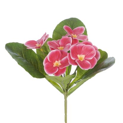 Picture of 24cm UV RESISTANT PANSY BUSH FUCHSIA