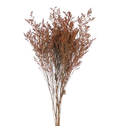 Picture of DRIED FLOWERS - LIMONIUM 70cm (120 grams) ORANGE