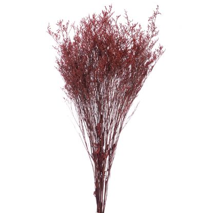 Picture of DRIED FLOWERS - LIMONIUM 70cm (120 grams) DARK RED