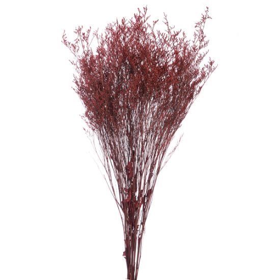 Picture of DRIED FLOWERS - LIMONIUM 70cm (120 grams) DARK RED