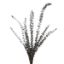 Picture of DRIED FLOWERS - EUCALYPTUS (10 STEMS) GREEN