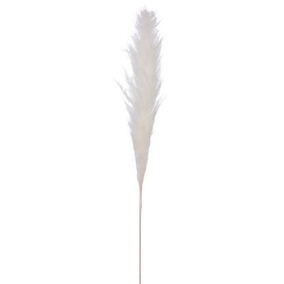 Picture of DRIED FLOWERS - SINGLE WRAPPED PAMPAS GRASS STEM 118cm WHITE