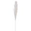 Picture of DRIED FLOWERS - SINGLE WRAPPED PAMPAS GRASS STEM 118cm WHITE