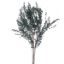 Picture of DRIED FLOWERS - LEAF SPRAY (100 grams) GREEN
