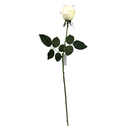 Picture of 65cm REAL TOUCH LARGE ROSEBUD CREAM/PINK
