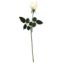 Picture of 65cm REAL TOUCH LARGE ROSEBUD CREAM/PINK