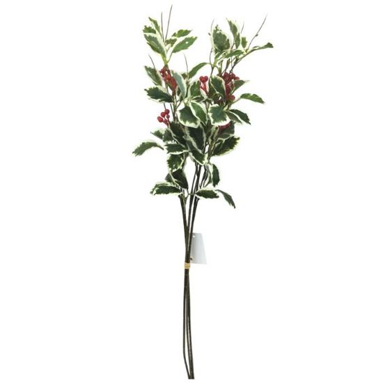 Picture of 62cm BERRY & FOLIAGE BUNDLE (3 STEMS) VARIEGATED/RED