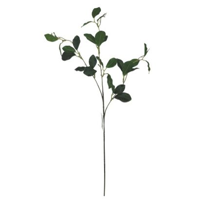 Picture of 65cm BANYAN LEAF SPRAY GREEN