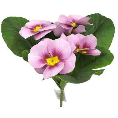 Picture of 24cm UV RESISTANT PANSY BUSH PINK