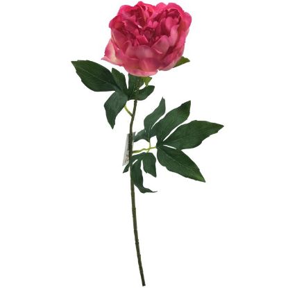 Picture of 60cm REAL TOUCH PEONY DARK PINK