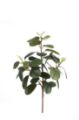Picture for category UV Resistant Foliage