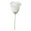 Picture of 5cm SINGLE ROSEBUD ON 19cm STEM WHITE X 144pcs