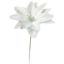 Picture of 11cm SINGLE POINSETTIA ON 19cm STEM WHITE X 144pcs