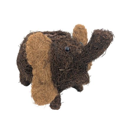 Picture of 23cm SALIM & COCO FIBRE ELEPHANT PLANTER BROWN