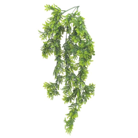 Picture of 76cm TRAILING MINI FERN BUSH GREEN