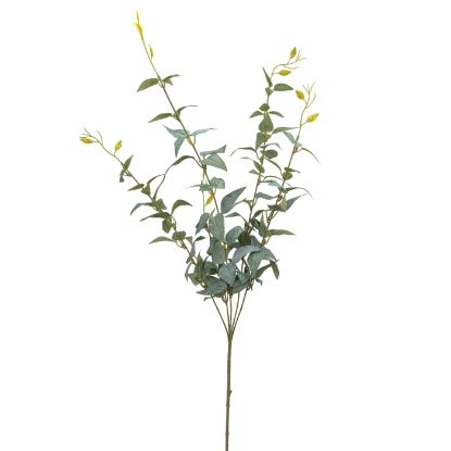 Picture of 89cm ITALIAN RUSCUS FOLIAGE SPRAY GREY/GREEN