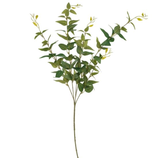 Picture of 89cm ITALIAN RUSCUS FOLIAGE SPRAY GREEN