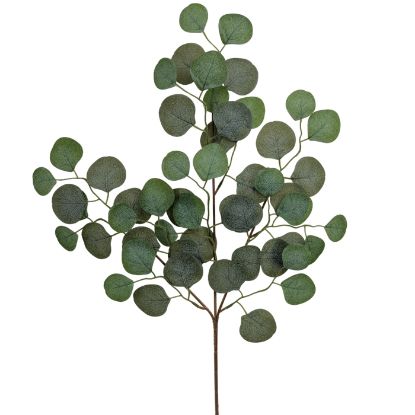 Picture of 63cm EUCALYPTUS SPRAY GREY/GREEN