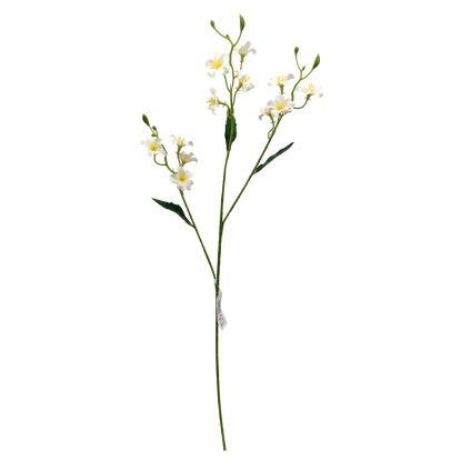 Picture of 70cm IRISH SAXIFRAGA SPRAY WHITE