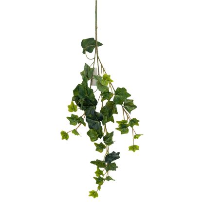 Picture of 65cm IVY LEAF TRAIL VARIEGATED