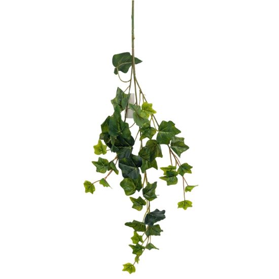 Picture of 65cm IVY LEAF TRAIL VARIEGATED