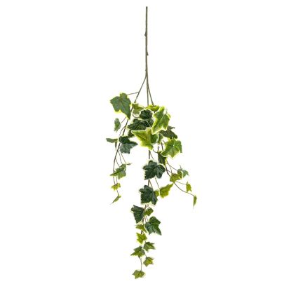 Picture of 65cm IVY LEAF TRAIL GREEN