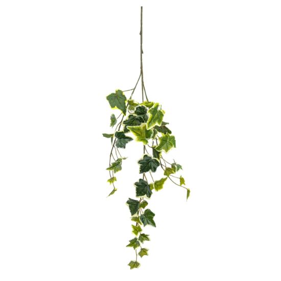 Picture of 65cm IVY LEAF TRAIL GREEN