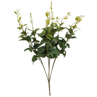 Picture of 58cm ITALIAN RUSCUS FOLIAGE BUSH GREEN